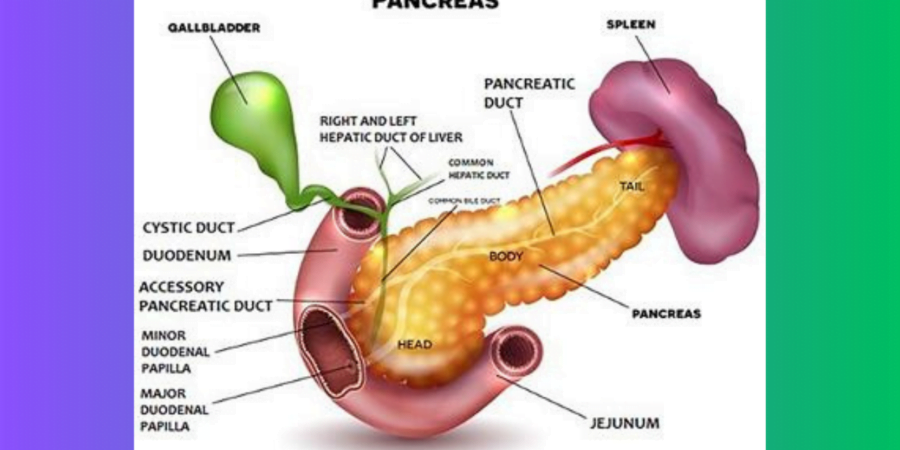 Types and Causes of Pancreatitis in Children