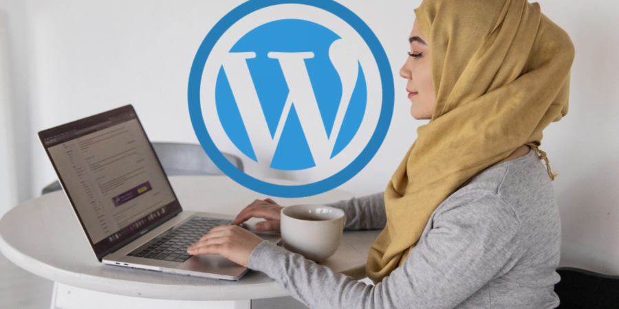 Why is it not recommended to use free WordPress themes? Learn about 15 reasons