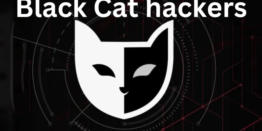 America offers a $10 million reward for information about the Black Cat hackers