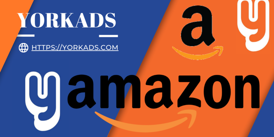 What is Amazon?